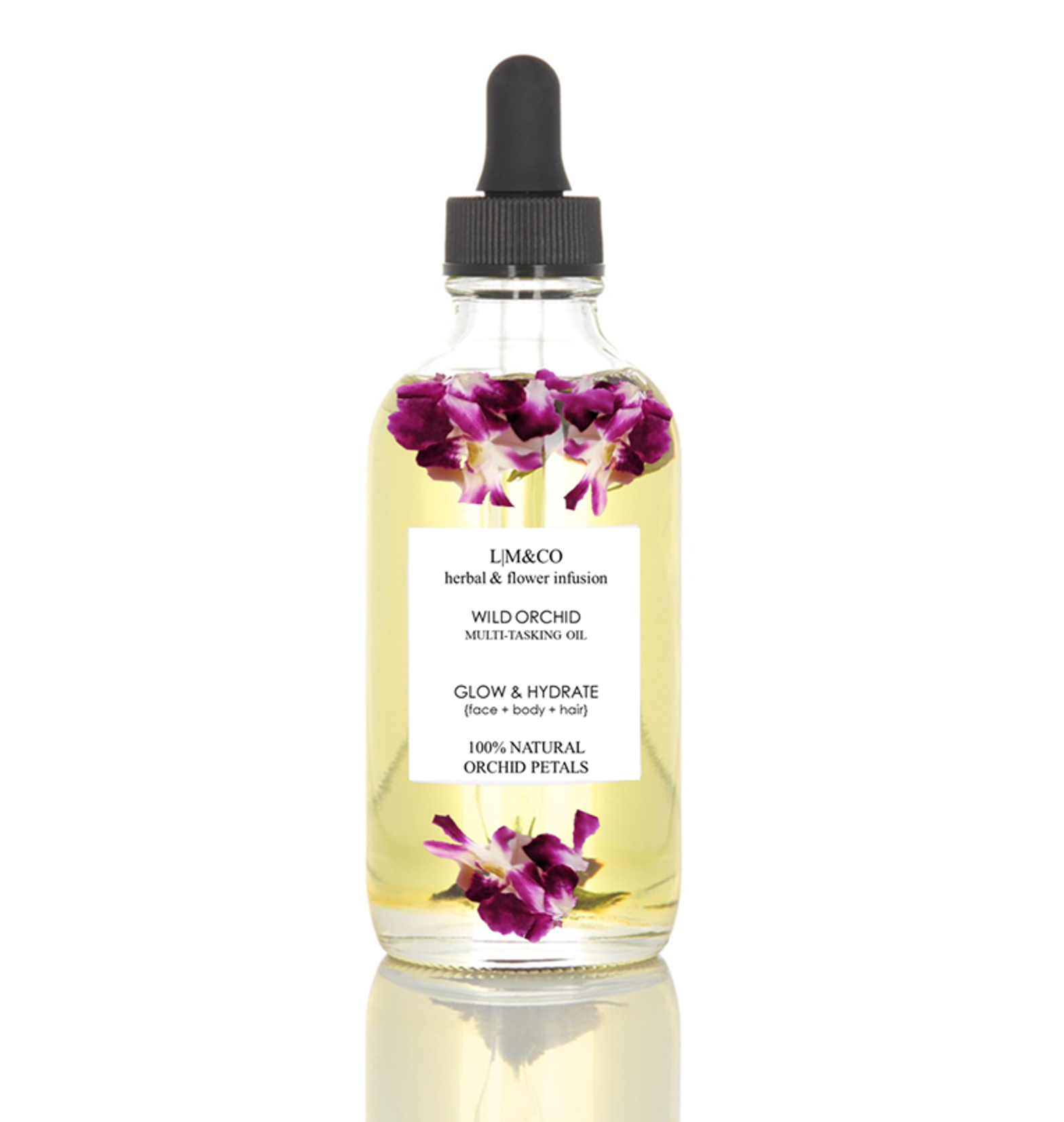Wild Orchid